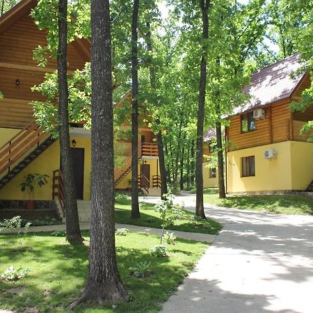 Вілія Hotell Lomacineţi Exteriör bild