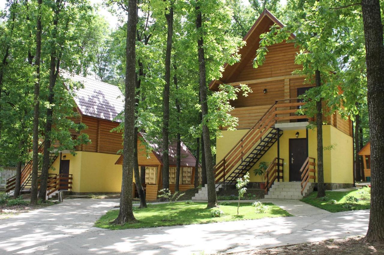 Вілія Hotell Lomacineţi Exteriör bild