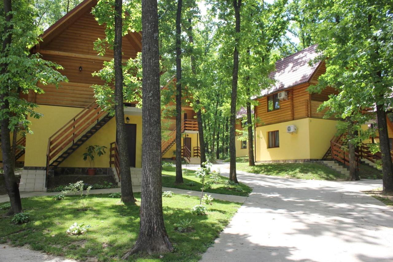 Вілія Hotell Lomacineţi Exteriör bild
